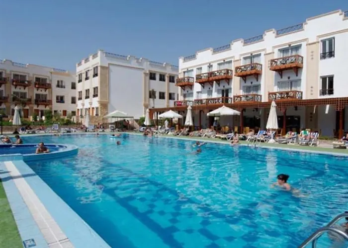 Falcon Naama Star