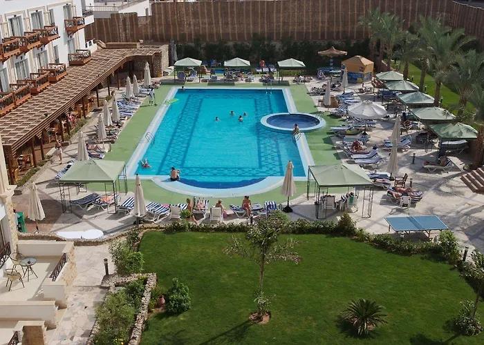 Falcon Naama Star